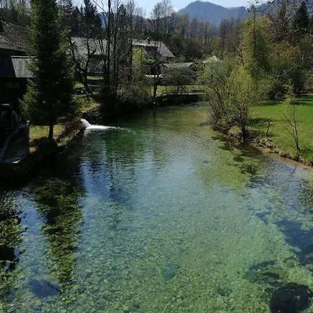 Apartment Haus Alexandra