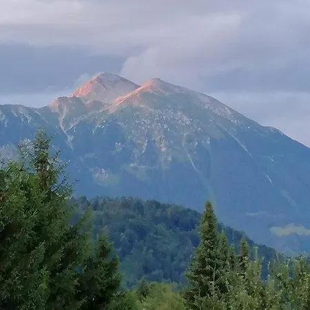 Haus Alexandra Apartment