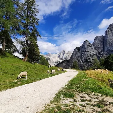Apartment Haus Alexandra Bled
