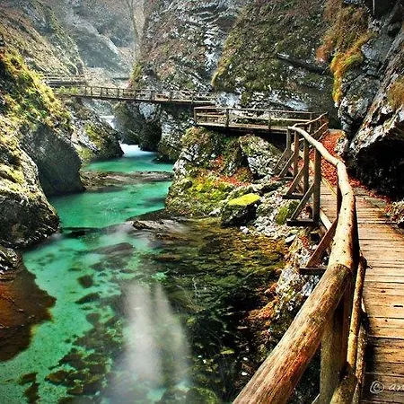 Apartment Haus Alexandra Bled