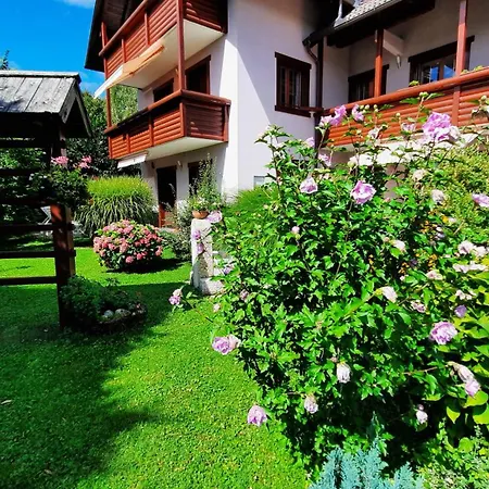 Apartmán Haus Alexandra