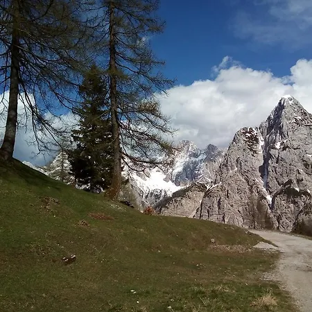 Haus Alexandra Apartment