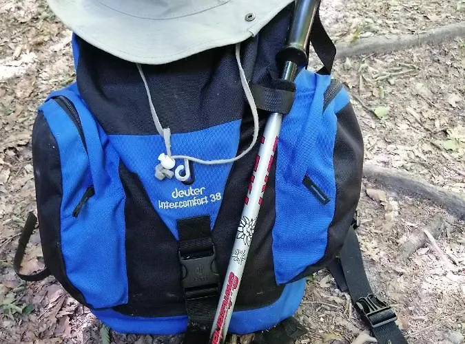 Haus Alexandra Apartmán *