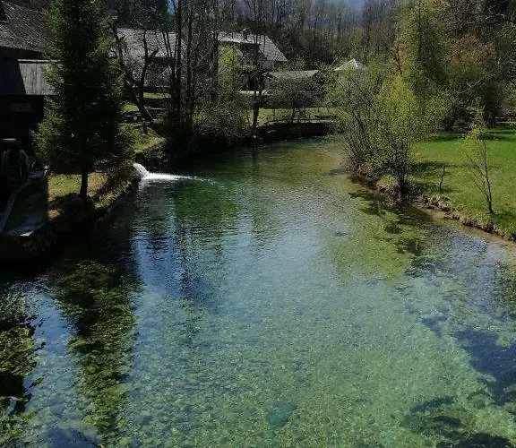 Apartma Haus Alexandra
