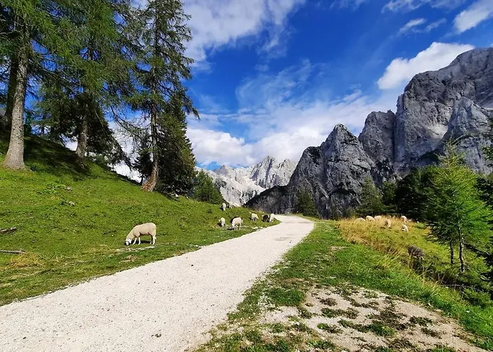 Apartma Haus Alexandra Bled