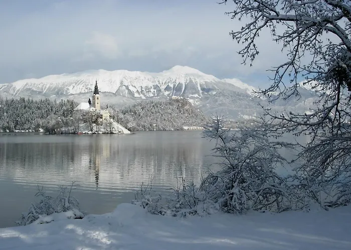 Haus Alexandra Apartma *