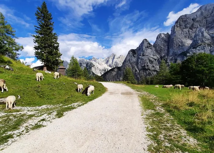 Apartma Haus Alexandra