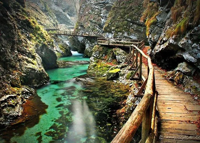 Apartmán Haus Alexandra Bled